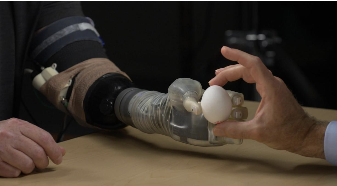 Someone with a prosthetic hand holding an egg on one side, with another person with a human flesh hand holding the other side of the egg
